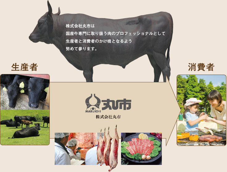 株式会社丸市は国産牛専門に取り扱う肉のプロフェッショナルとして生産者と消費者の橋渡しとなるよう努めて参ります。